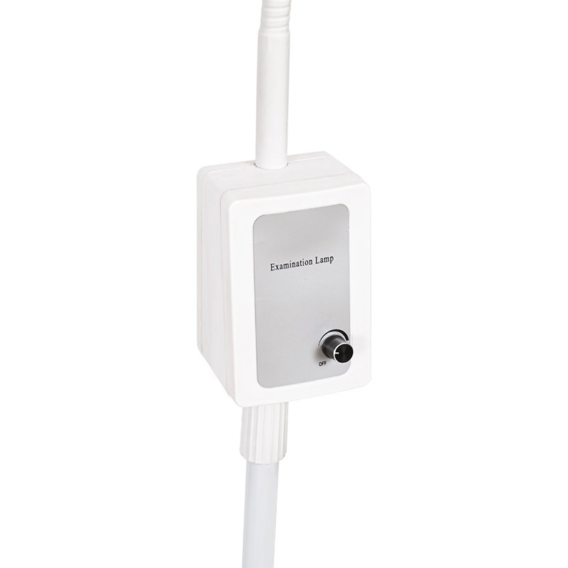3W vstavaná záložná batéria LED vyšetrovacia lampa s husím krkom